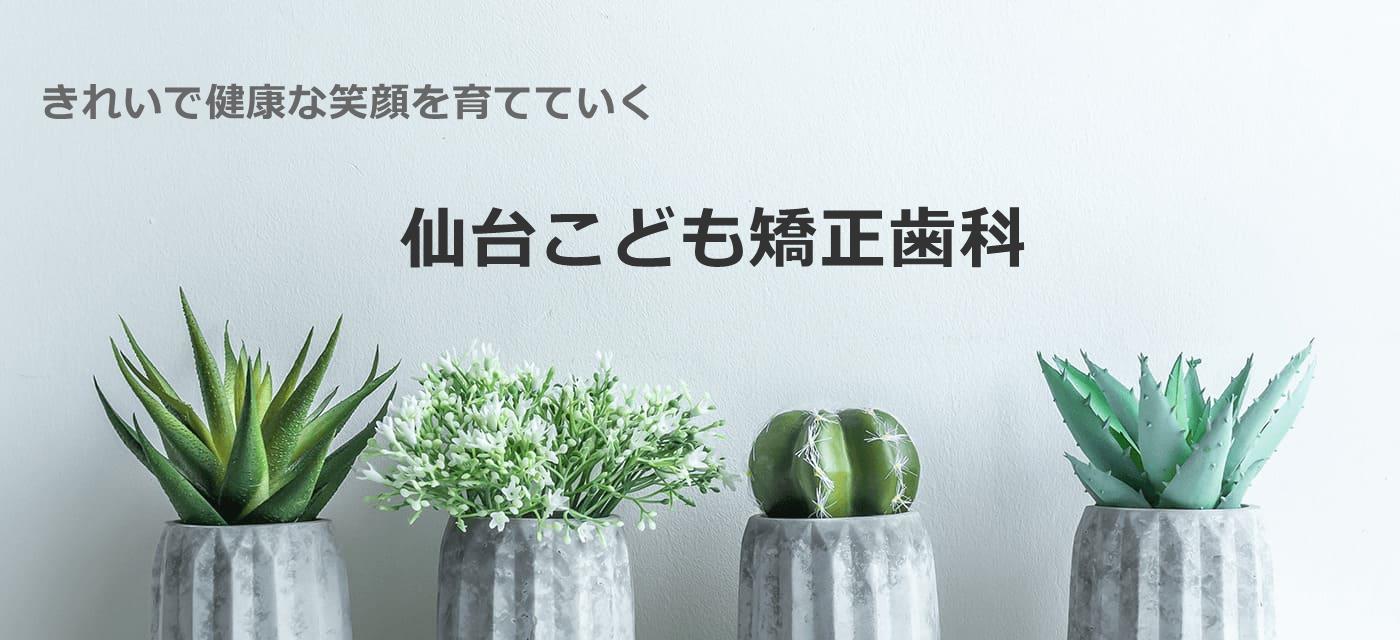 仙台こども矯正歯科